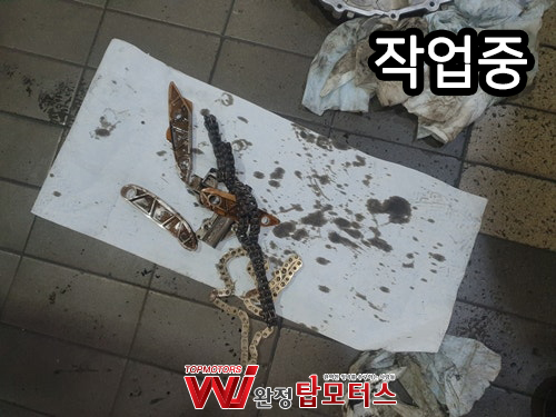 카니발 타이밍체인세트