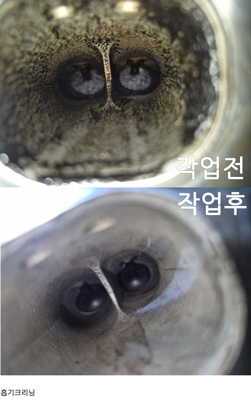 쏘나타 흡기 클리닝